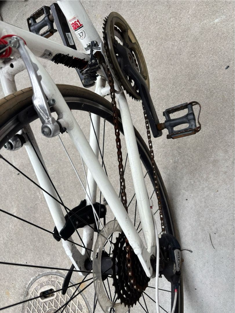 値引き中‼️ LOUIS GARNEAU SETTER8.0 LG WHITE
