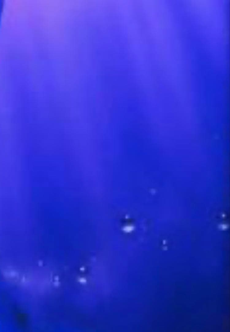 真作 クリスチャンラッセン (ロードオブザシーS)ミクストメディア直筆サイン大型