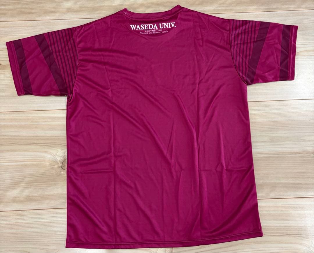 早稲田大学バレーボール部　練習着　サイズ2XL