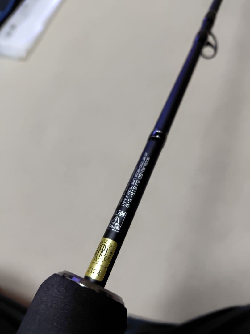 DAIWA ダイワ 2024年モデル ソルティガ SJ 61B-6・W