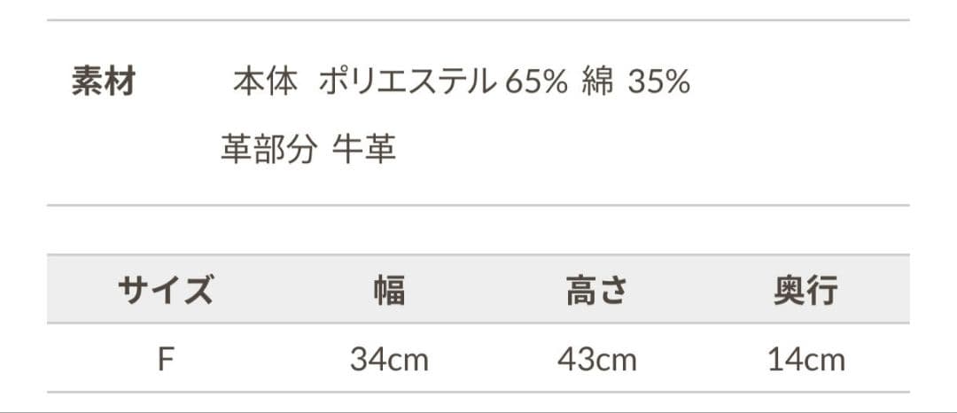 マウンテンデイパック　ノースフェイスパープルレーベル　ナナミカ
