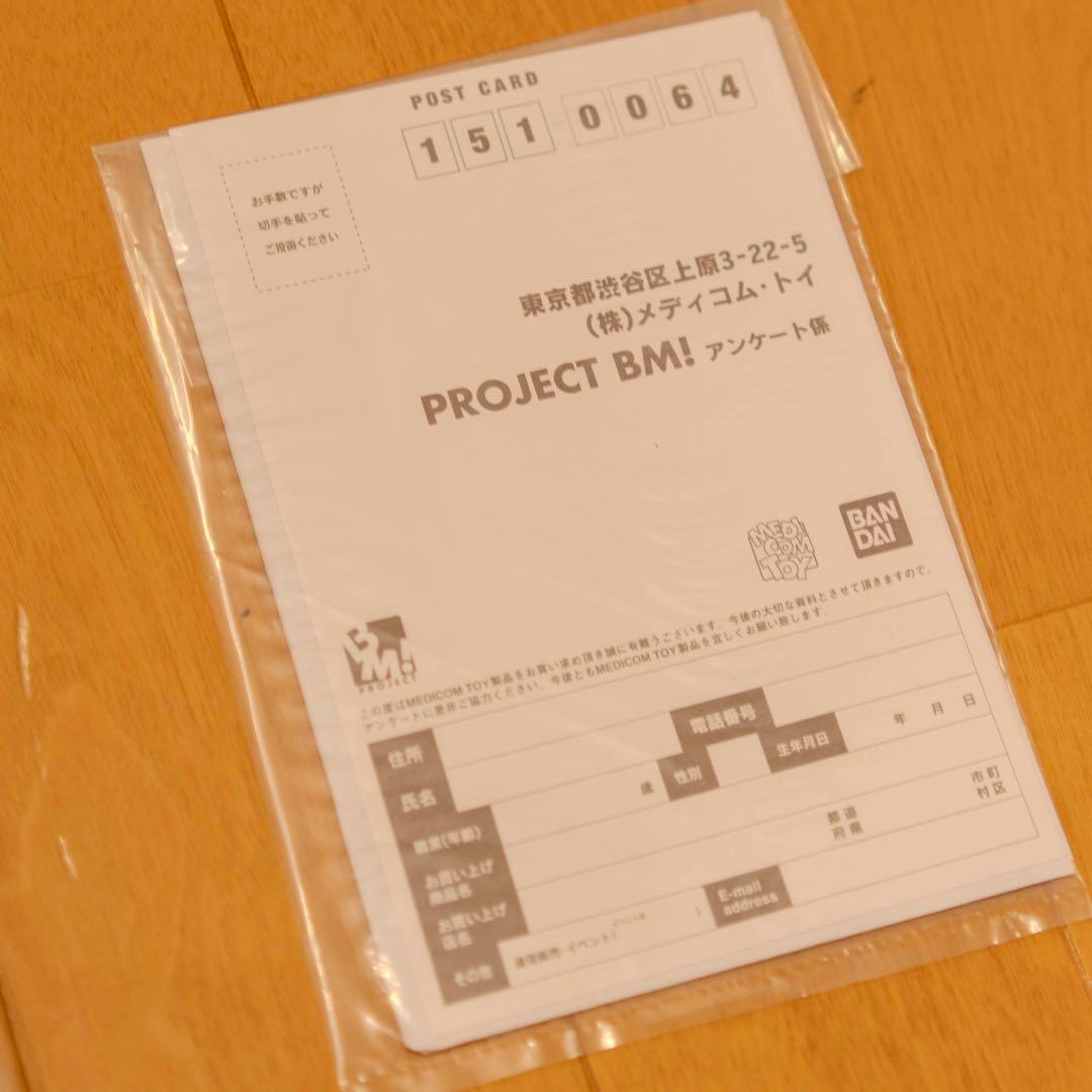 project BM ウルトラマンヒカリ 1/6 RAH