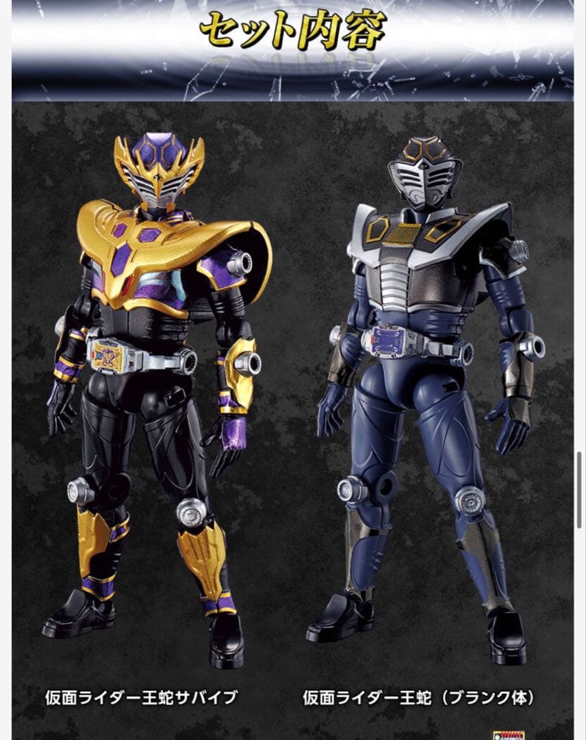 SO-DO CHRONICLE 仮面ライダー龍騎　王蛇セット