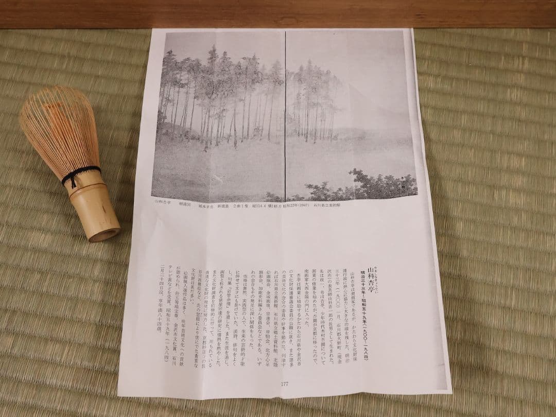 【真作】日本画 山科杏亭 花鳥図 絹本 双幅 掛軸 共箱 鳩 翡翠 MB273