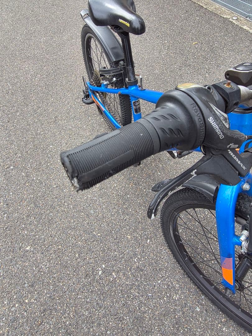 CANNONDALE キャノンデール キッズバイク Quick 20 クイック