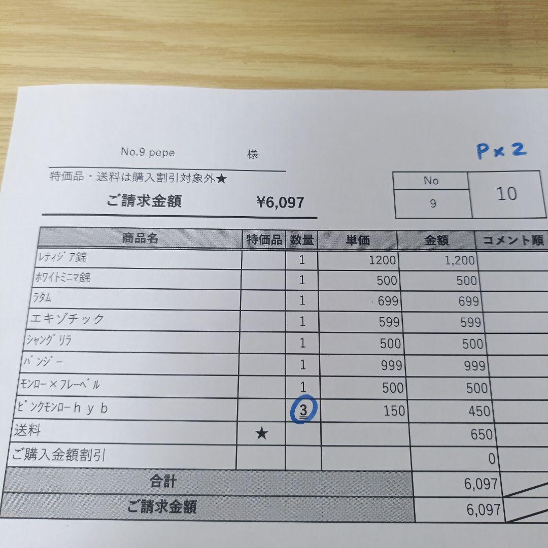 9 pepe　多肉植物販売会