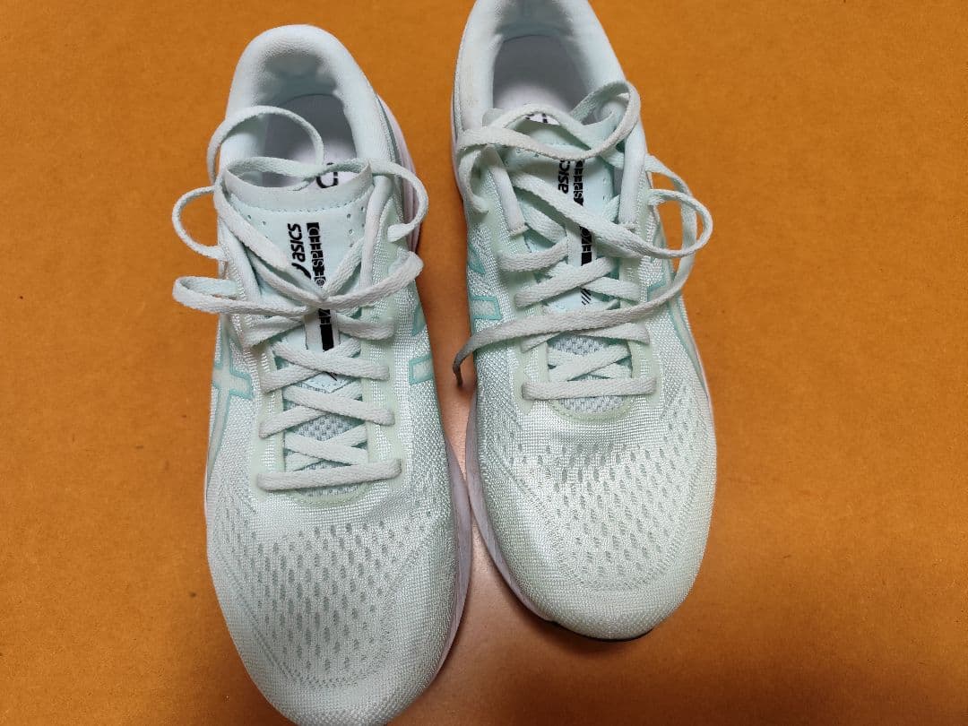 asics(アシックス) EvoRide Speed 3 27cm 中古品