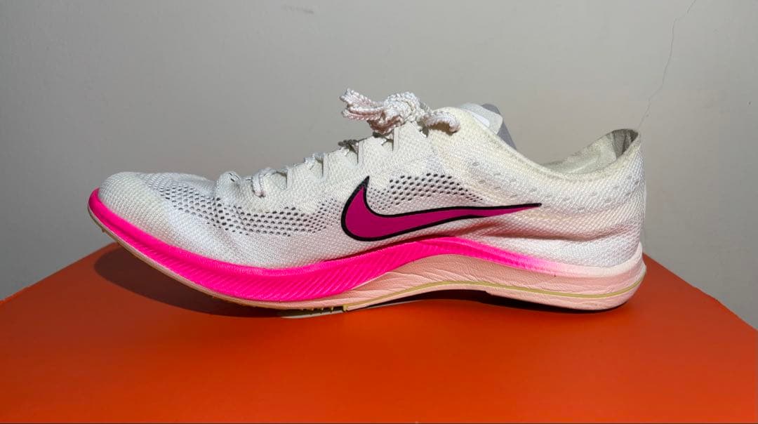 Nike ドラゴンフライ 25.0cm