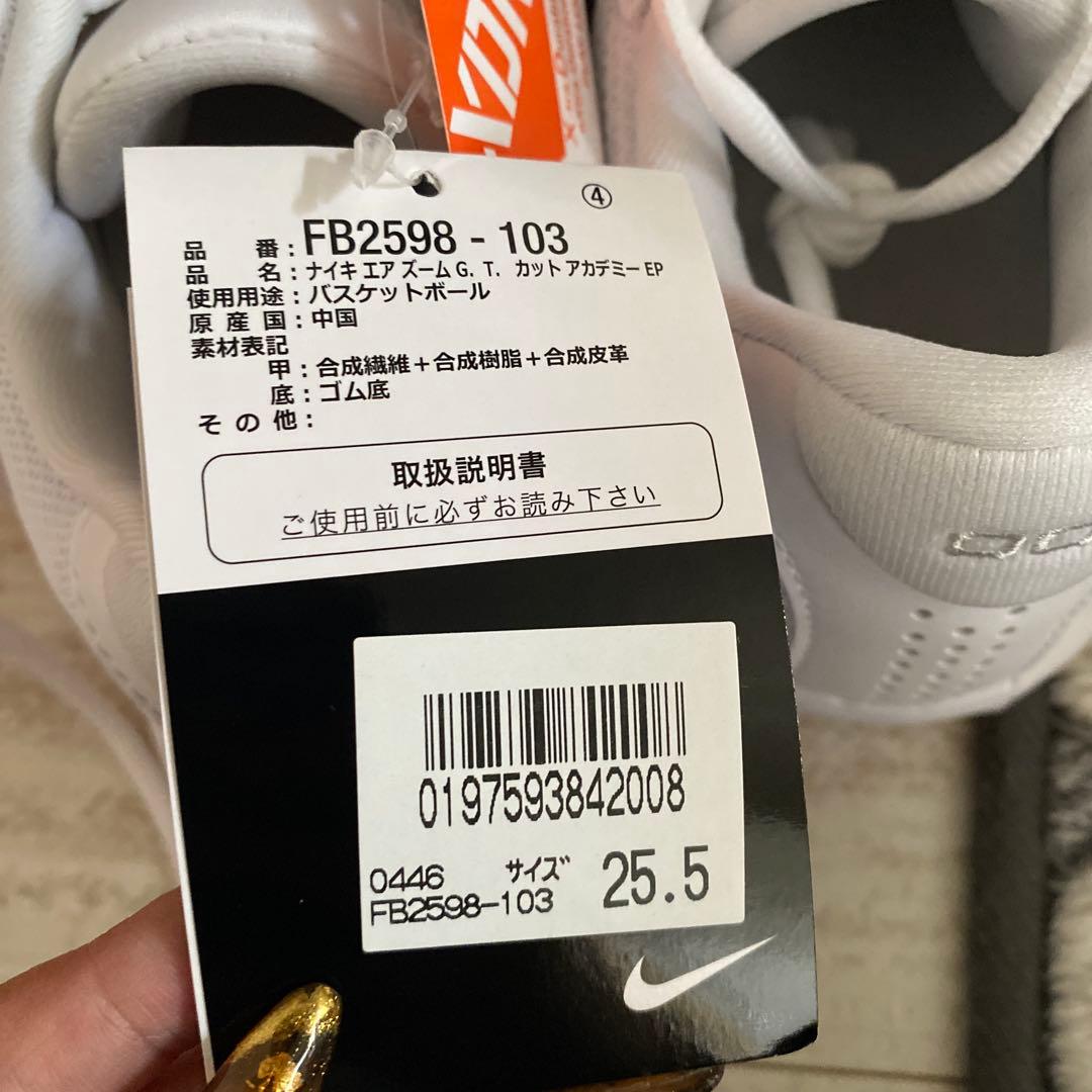 Nike G.T catアカデミーEPバスケットボールシューズ ホワイト