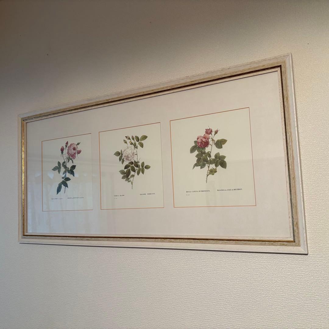 ローラアシュレイ 薔薇の額絵
