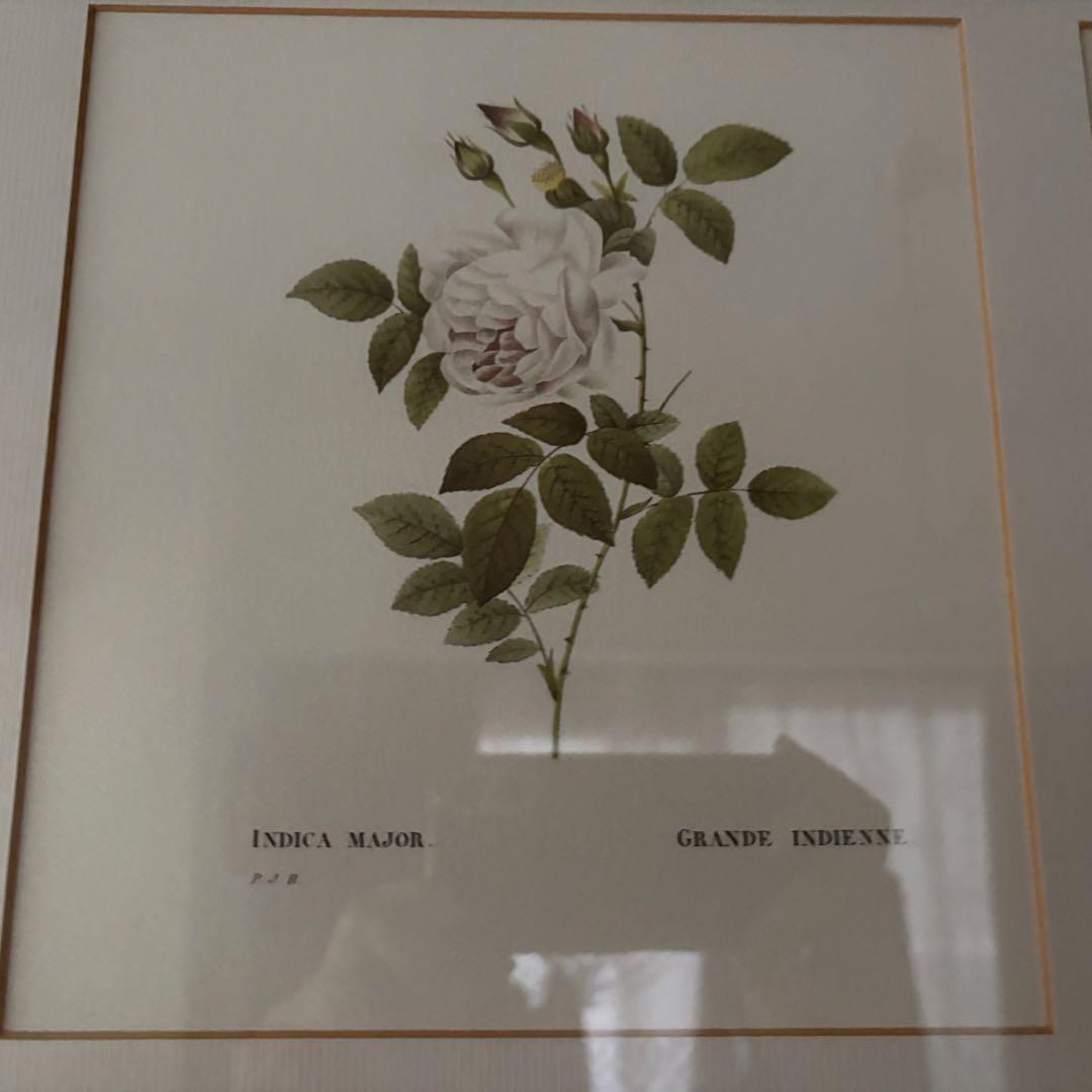 ローラアシュレイ 薔薇の額絵