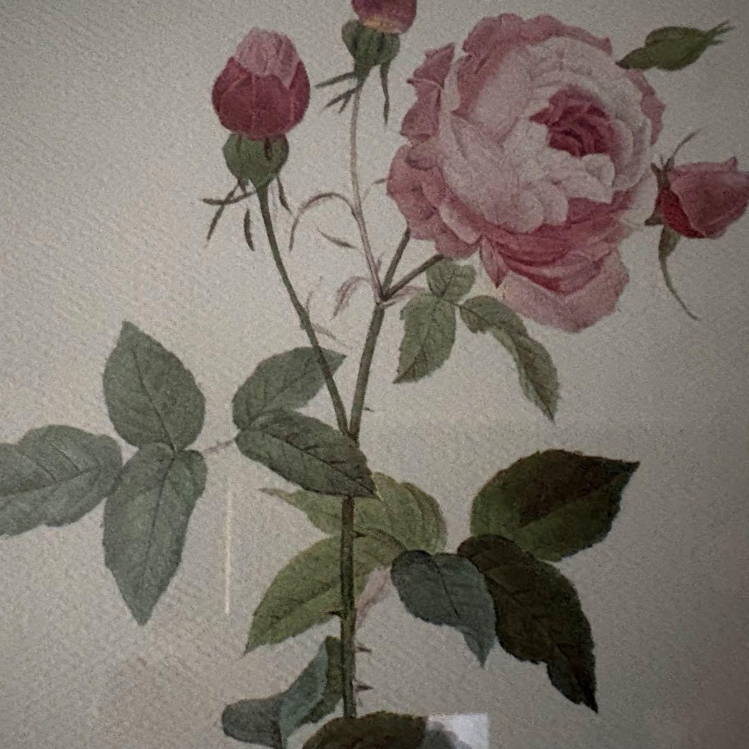 ローラアシュレイ 薔薇の額絵