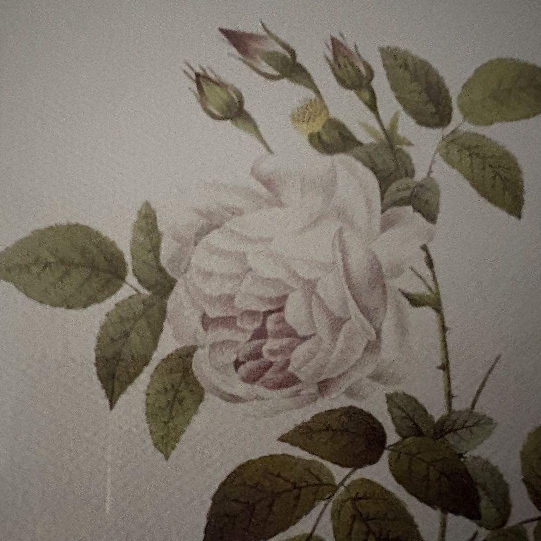 ローラアシュレイ 薔薇の額絵