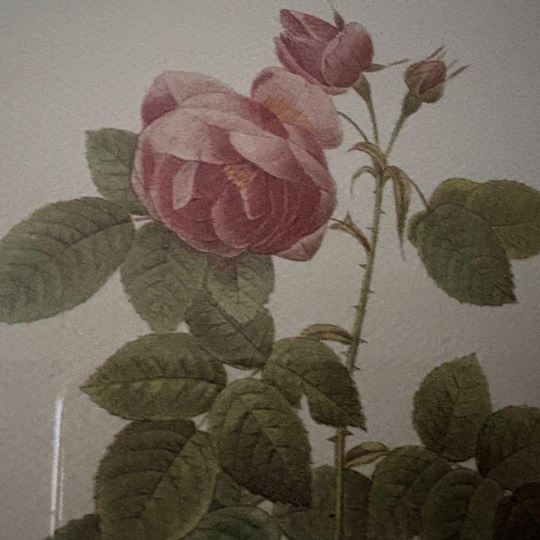 ローラアシュレイ 薔薇の額絵