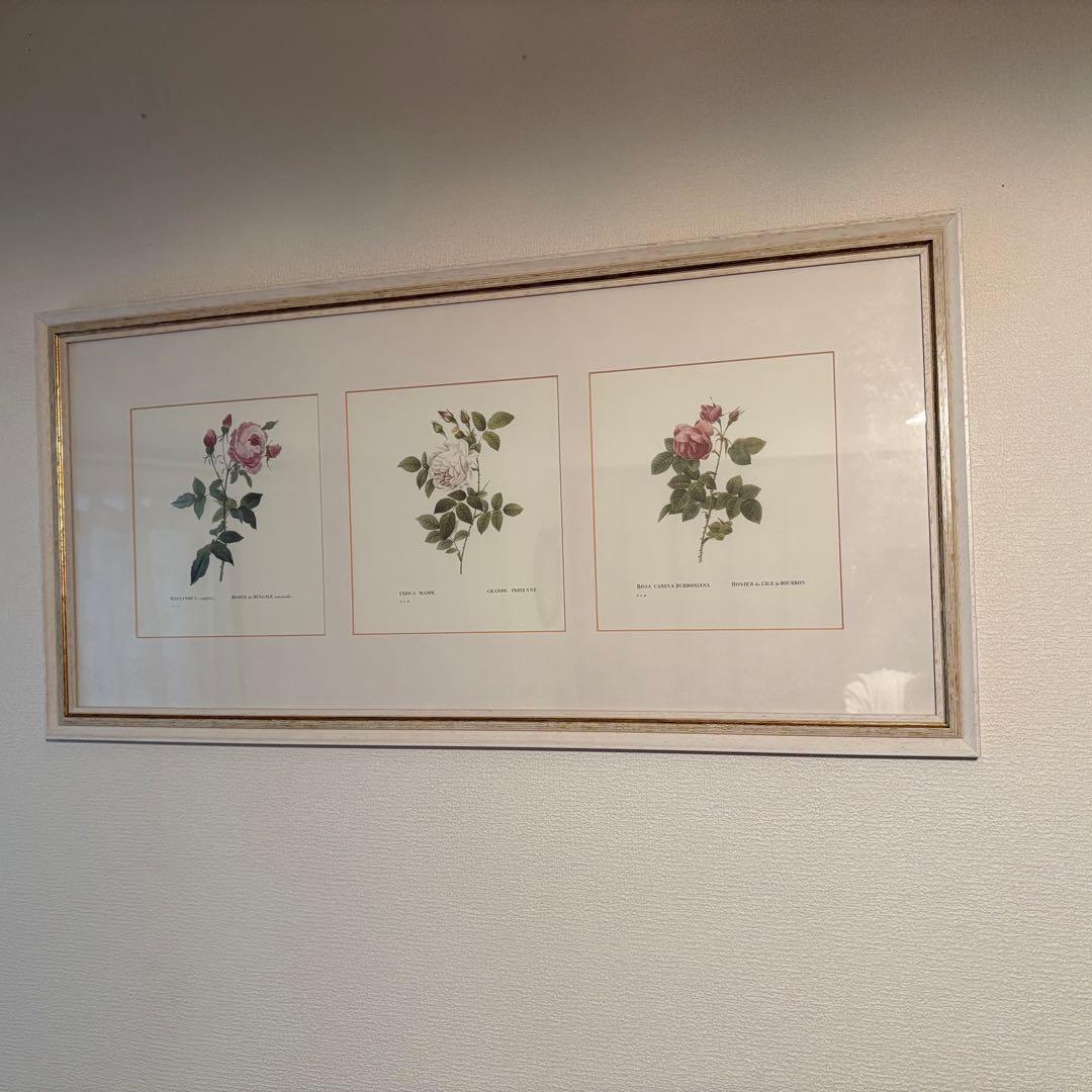 ローラアシュレイ 薔薇の額絵