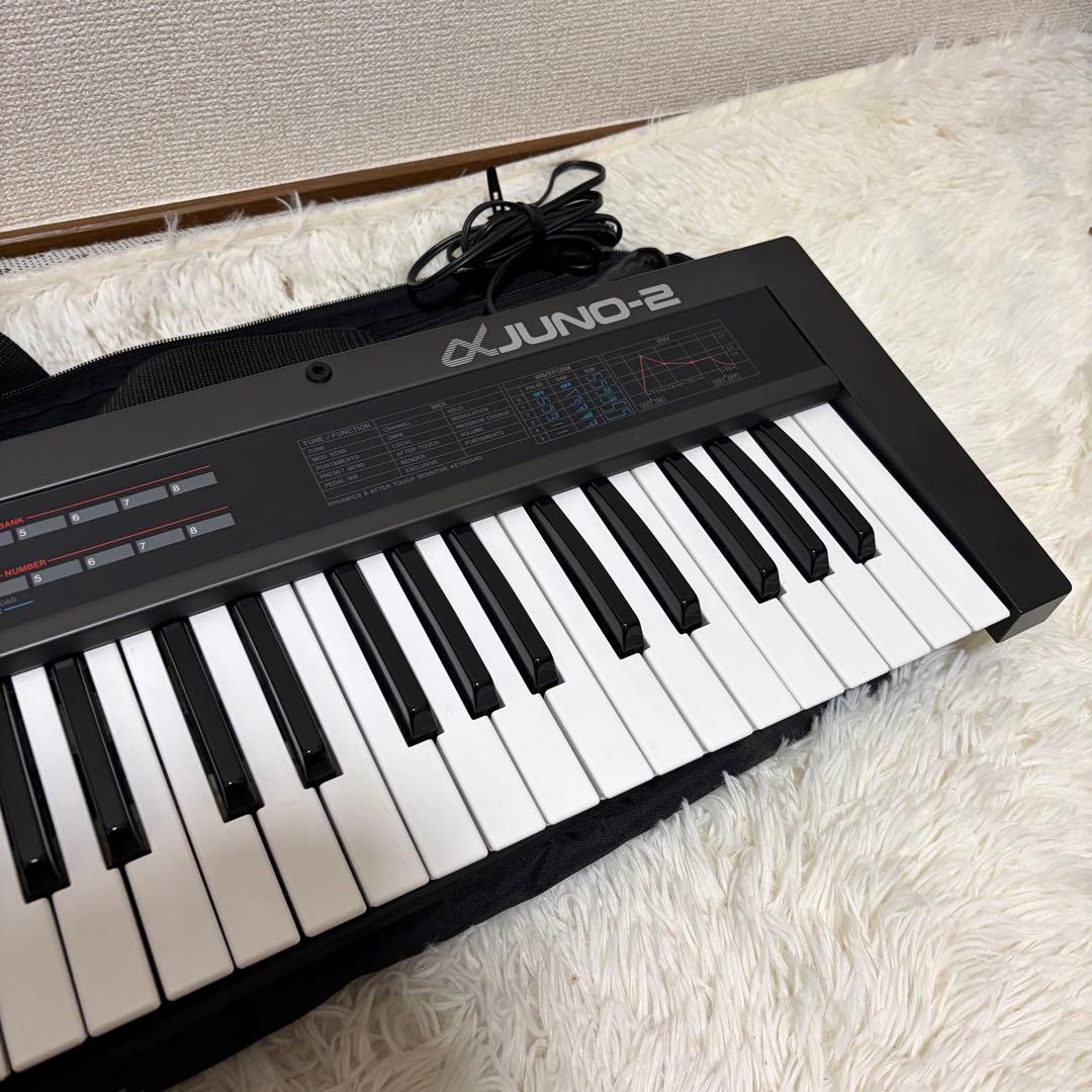 動作良好 Roland αJUNO-2 シンセサイザー　アナログシンセ