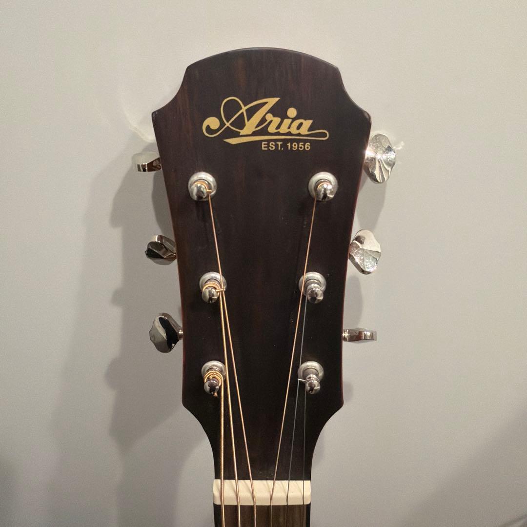 Aria アコースティックギター Aria-111