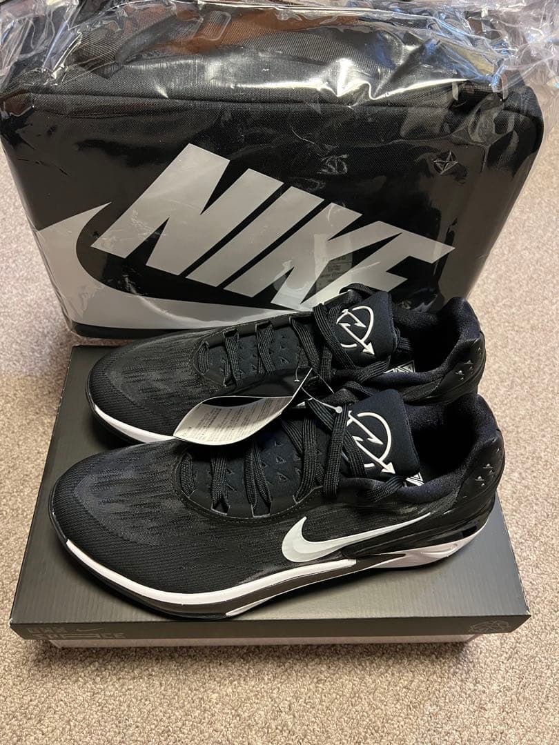 シューズ(男性用) NIKE AIR ZOOM G.T.CUT 2 EP 29cm