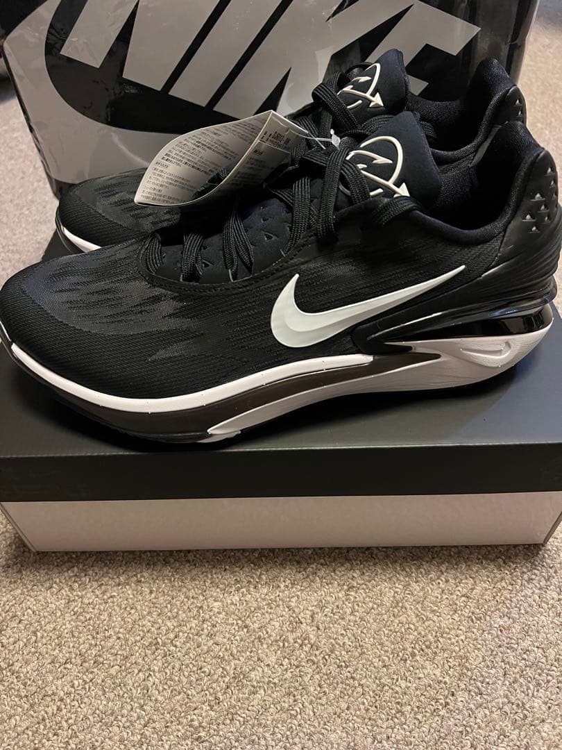 シューズ(男性用) NIKE AIR ZOOM G.T.CUT 2 EP 29cm