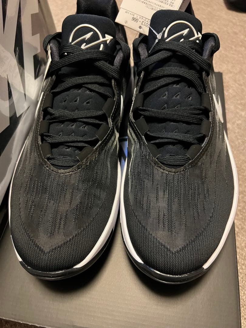シューズ(男性用) NIKE AIR ZOOM G.T.CUT 2 EP 29cm