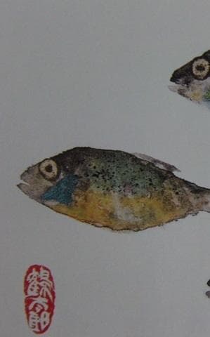 片岡鶴太郎、【小鰭三人衆】、希少な額装用画集より、美品、日本人画家