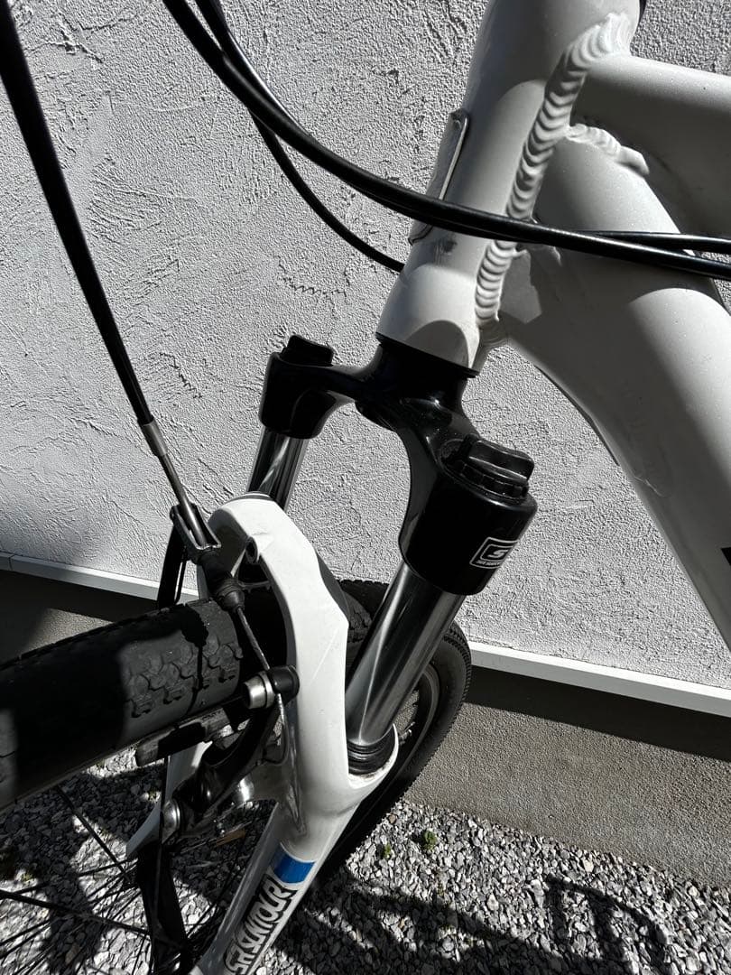 ポピン　ルイガノ LOUIS GARNEAU LGS-ASM 470