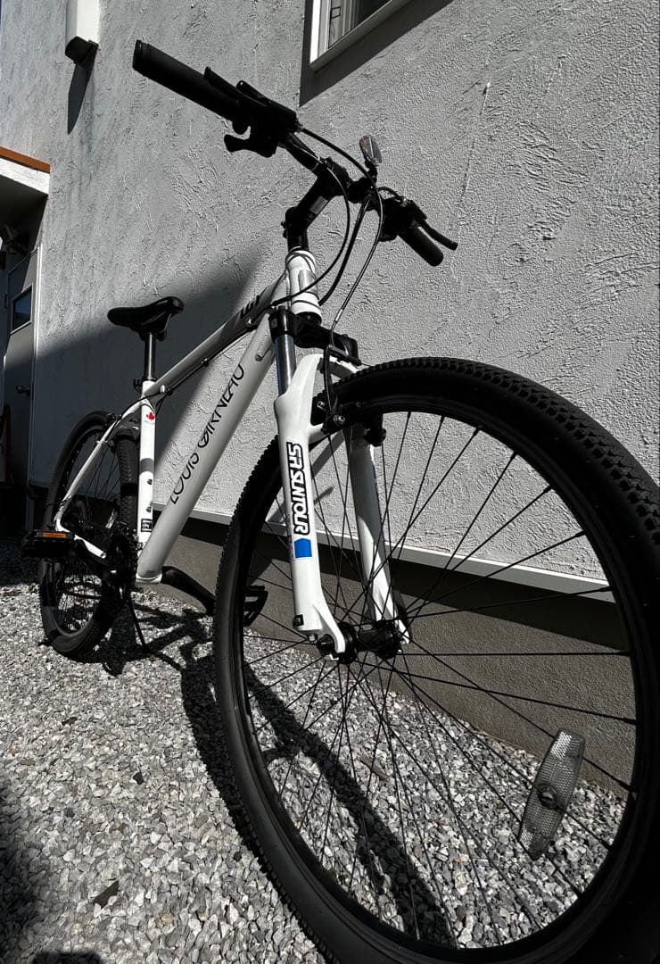 ポピン　ルイガノ LOUIS GARNEAU LGS-ASM 470