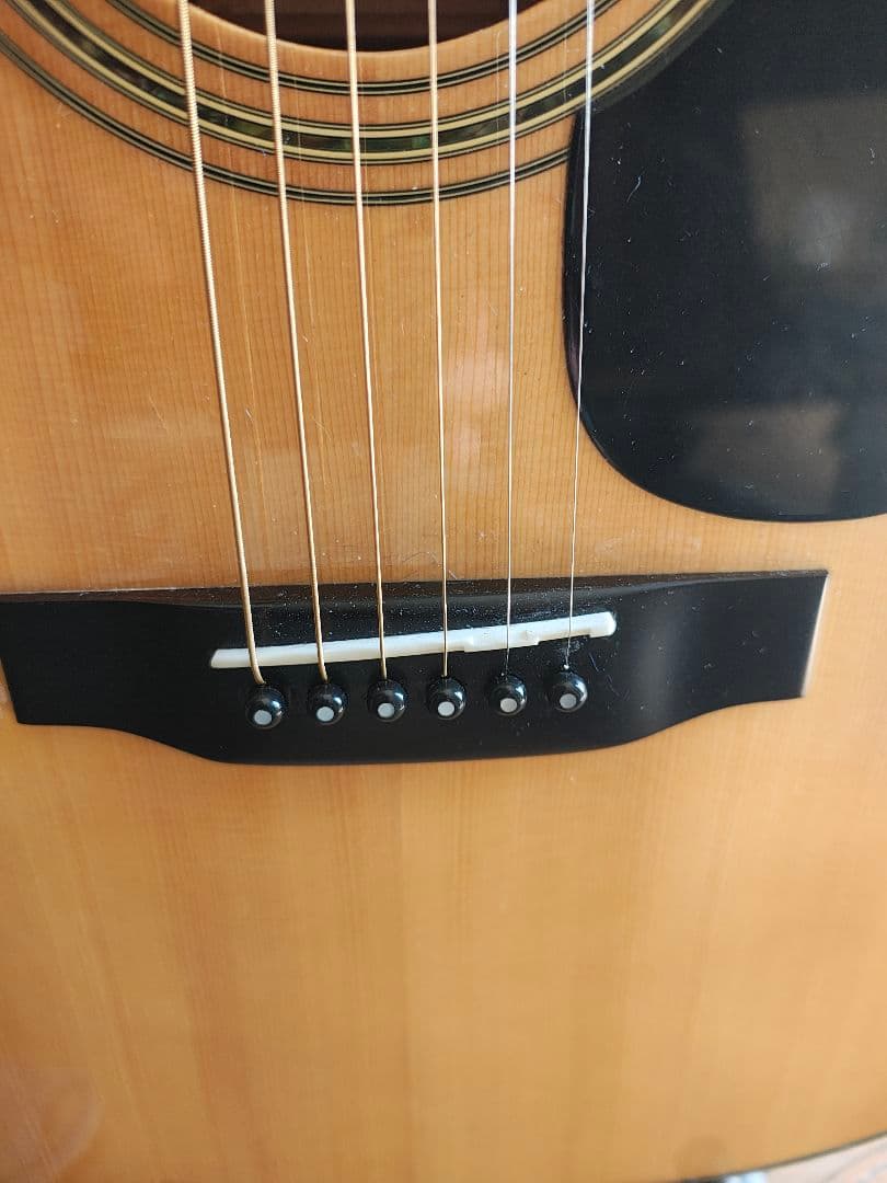 MORRIS アコースティックギター　w40