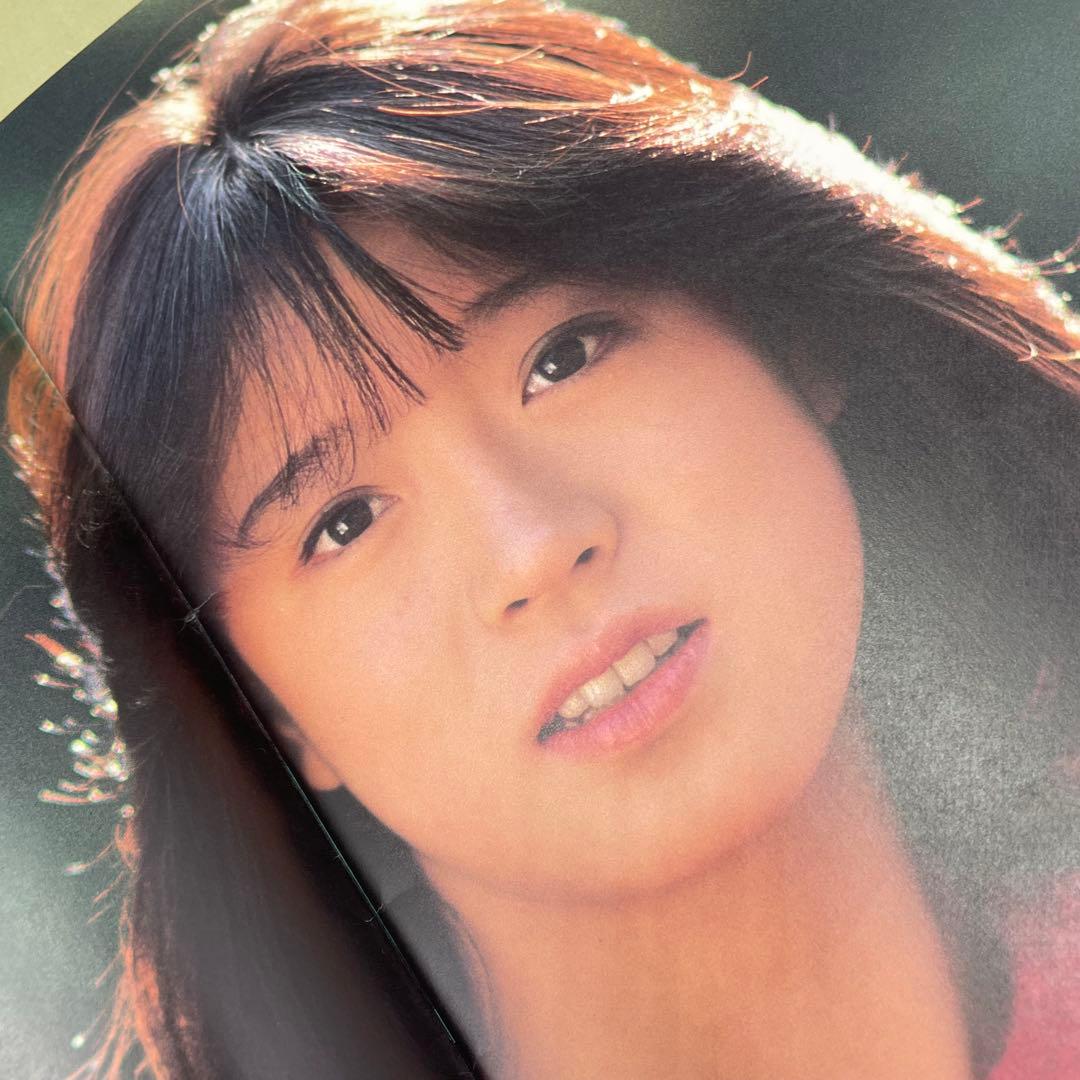 中森明菜 A.K.I.N.A. ツアーパンフレットとポストカードセット