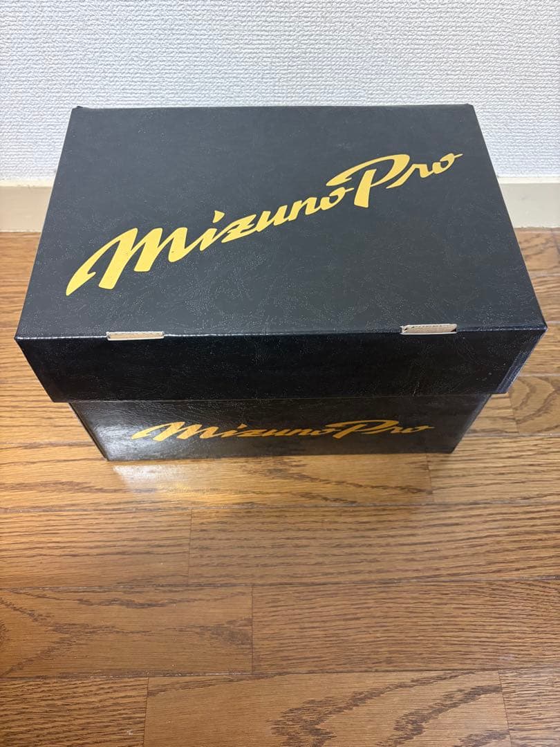 Mizuno Pro 硬式グローブ 黒　ミズノプロ　投手