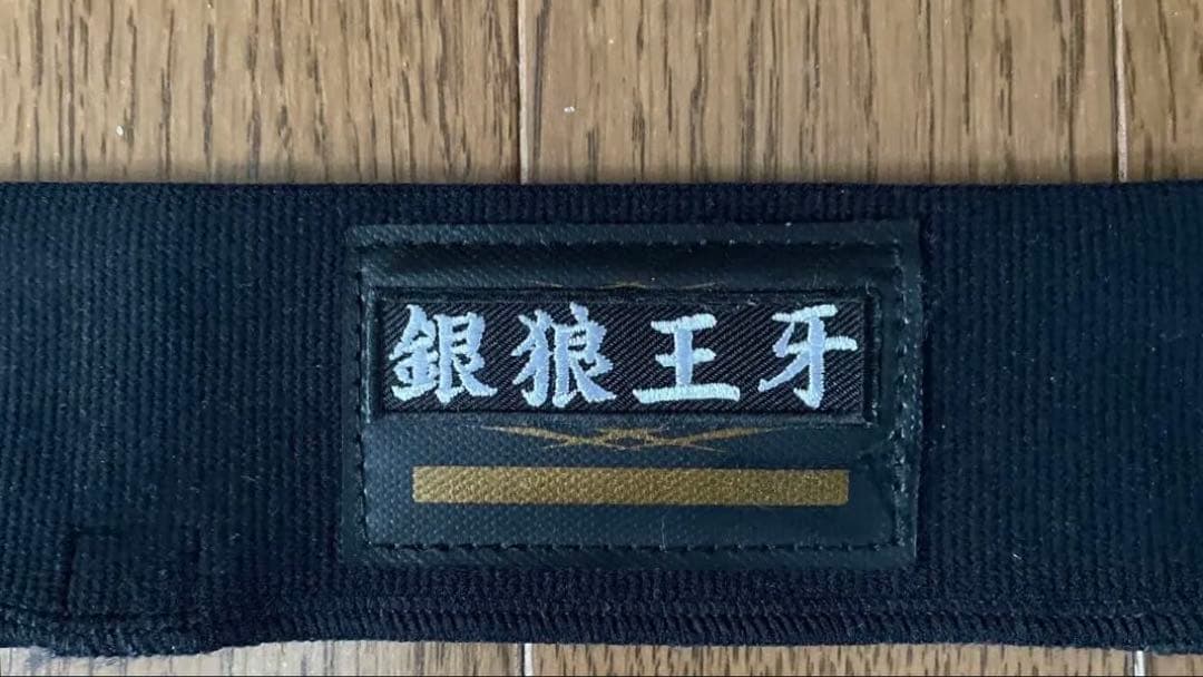 ☆めぐ☆さん専用　ダイワ 銀狼 王牙AGS BIGONE 53
