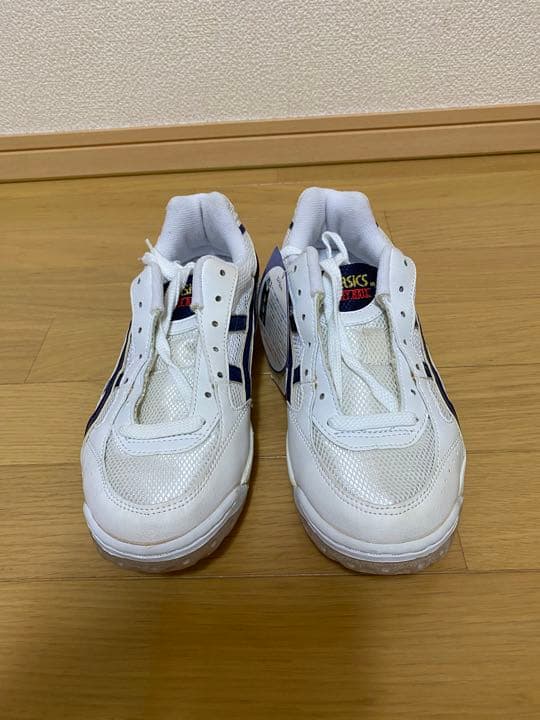 アシックス　バレーボールシューズ　25.0cm