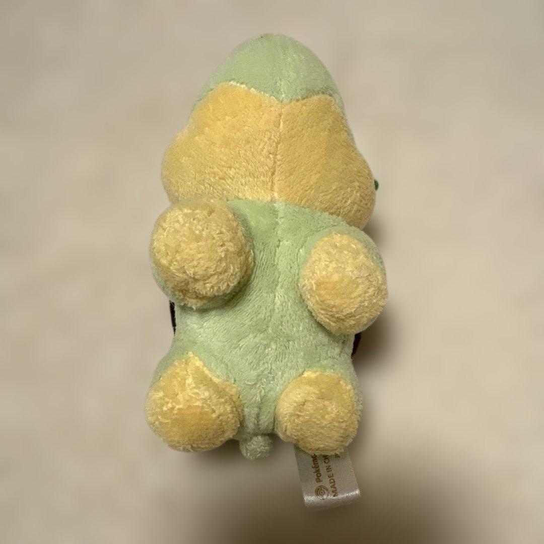 ポケモンセンター　ナエトル　ぬいぐるみ　ポケドール