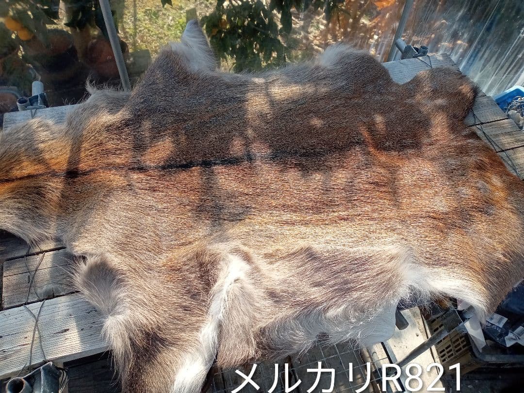 天然日本鹿毛皮 ブランケット 自然な毛並み