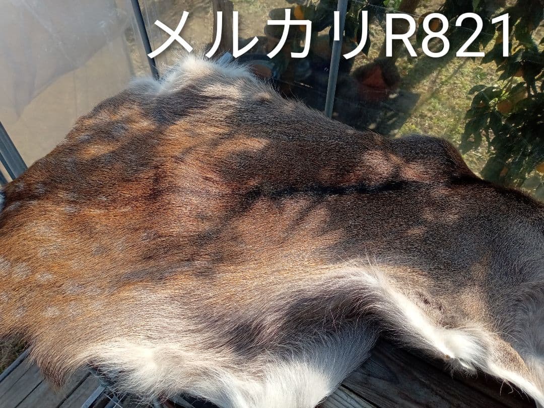 天然日本鹿毛皮 ブランケット 自然な毛並み