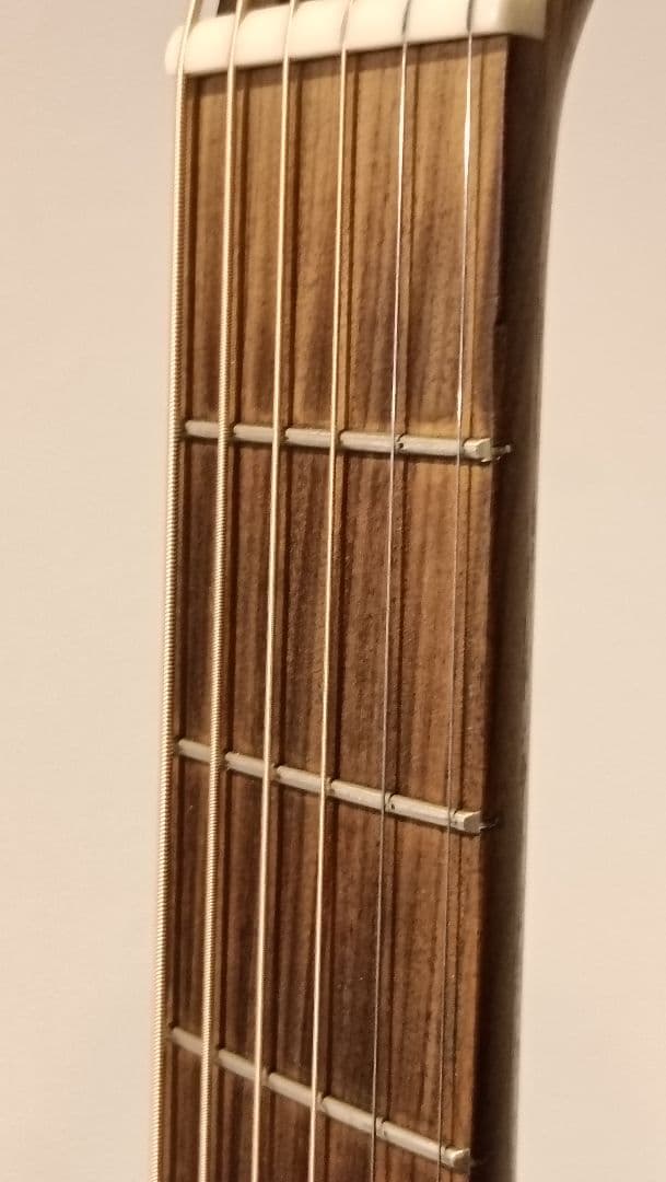 【限定生産完了品】Martin GPCX1AE 20th Anniversary