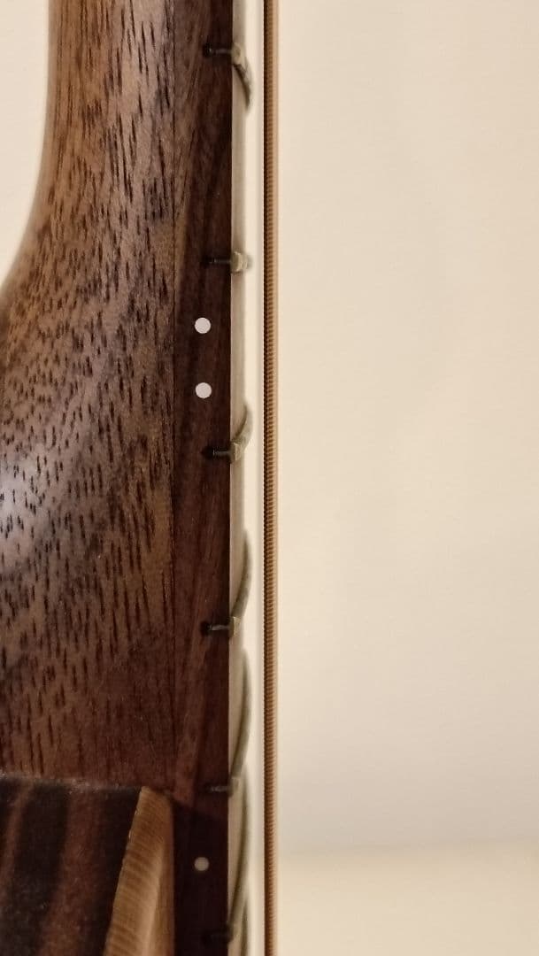 【限定生産完了品】Martin GPCX1AE 20th Anniversary
