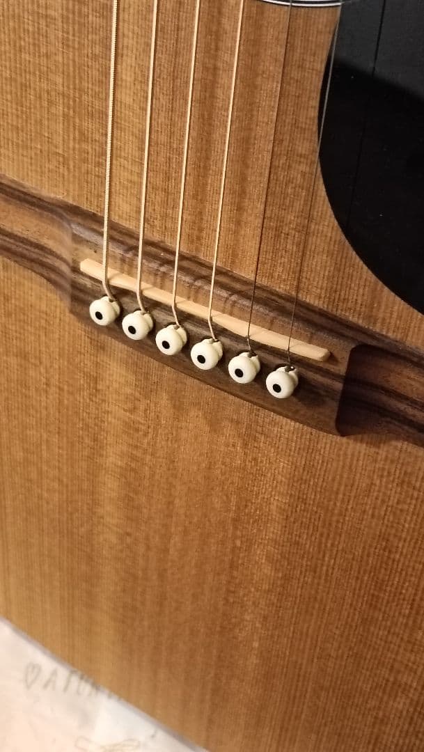 【限定生産完了品】Martin GPCX1AE 20th Anniversary