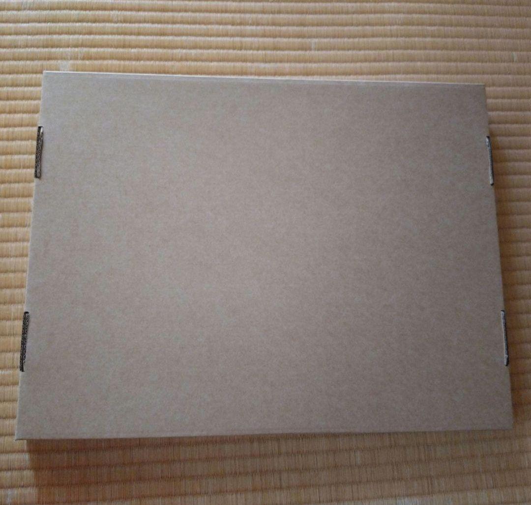 新品　citrus+ A賞　高精細複製原画 キャラファイングラフ　推しちゃれ