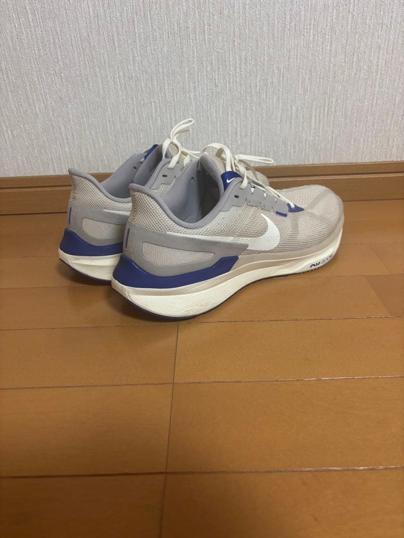 【美品・箱付き】28.5 ナイキ メンズ ランニングシューズ