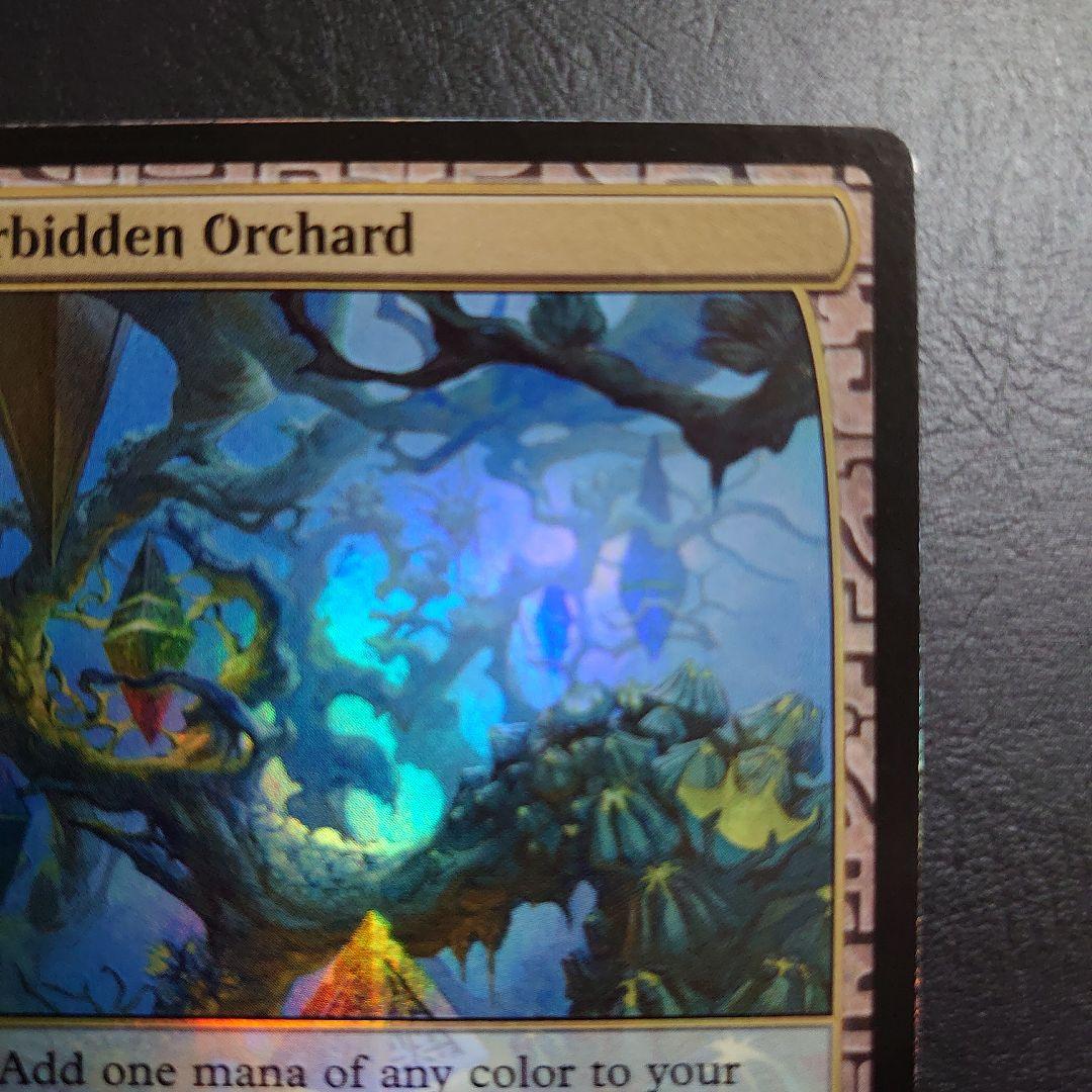 MTG 禁忌の果樹園 Forbidden Orchard EXP マスターピース