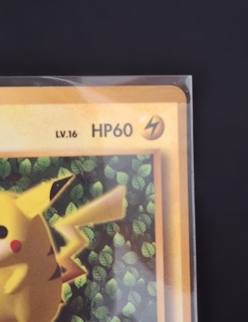 y*n様 旧裏 ピカチュウ エラー表記Ken Sugimori プロモ ポケモン
