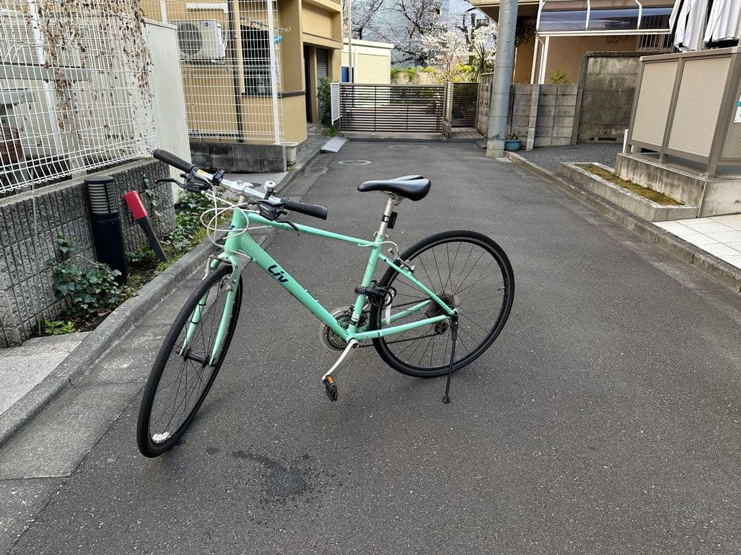 ミントグリーン Giant Escape R3 Sサイズ