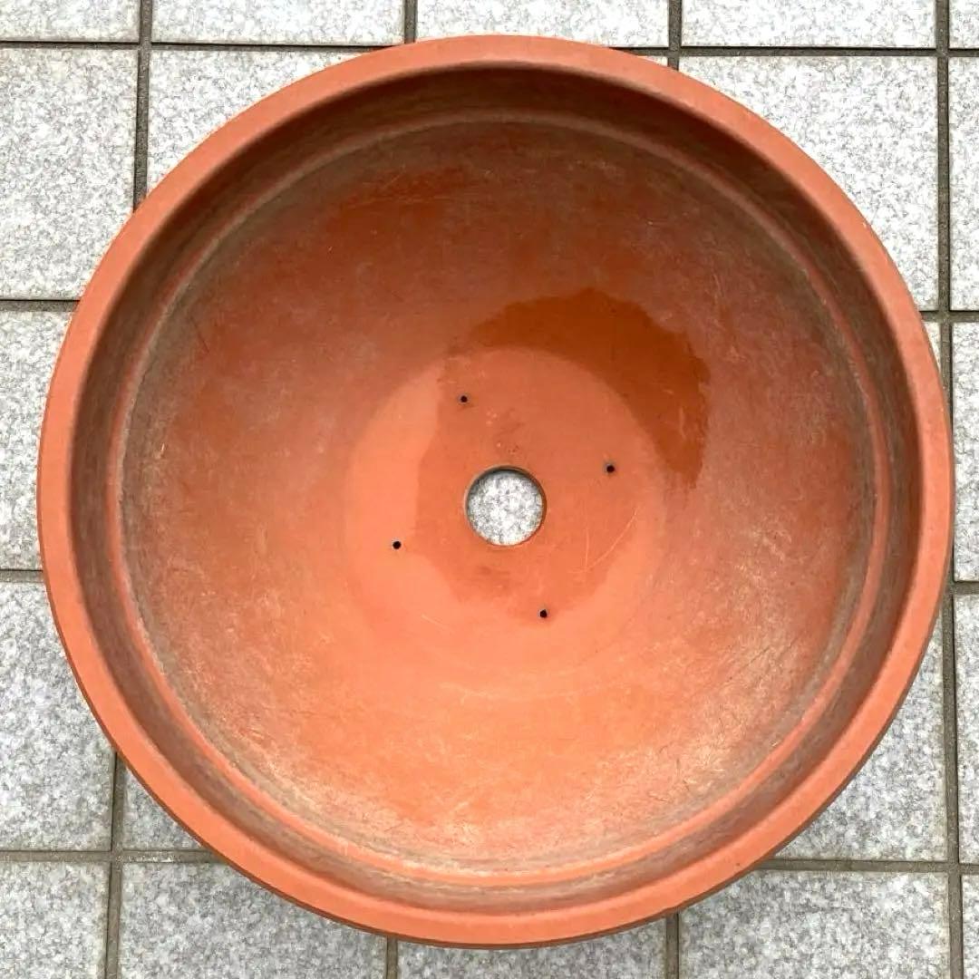浅型テラコッタ 大きめ 丸鉢 ガーデニング 寄せ植え 植木鉢