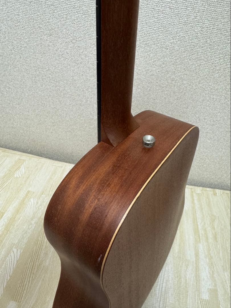 Taylor BT2 ミニギター