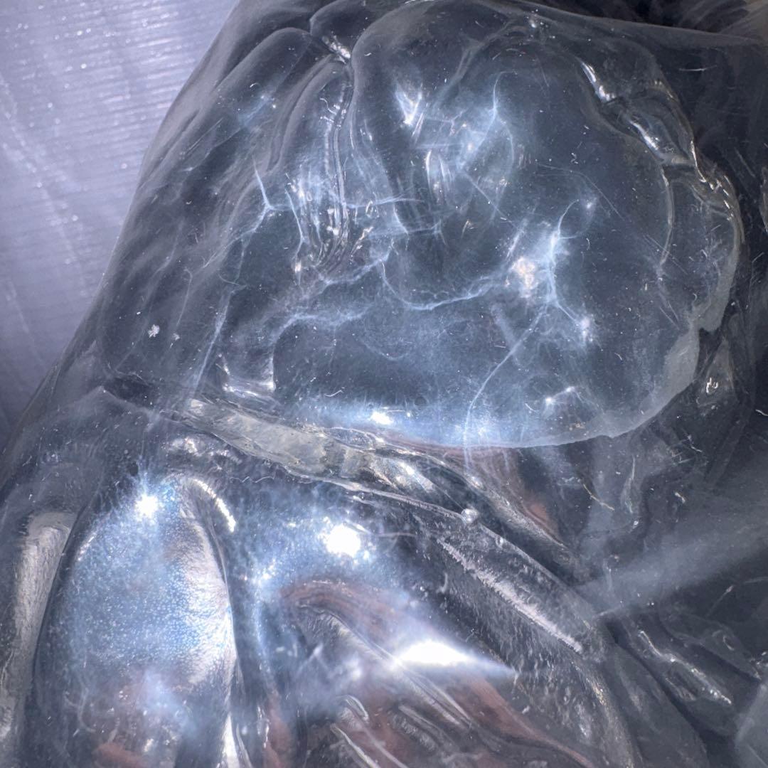 フィギュア王誌上限定　 ヘドラ水銀Ver CCP