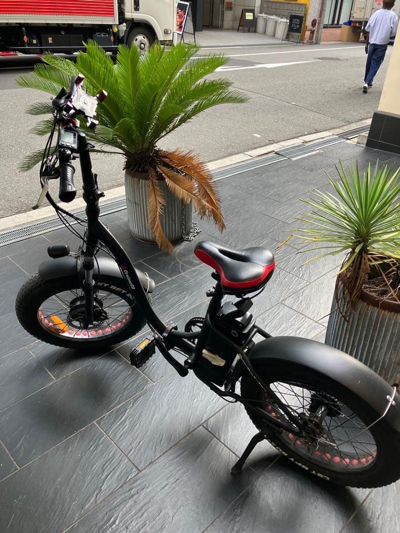電動アシスト　自転車
