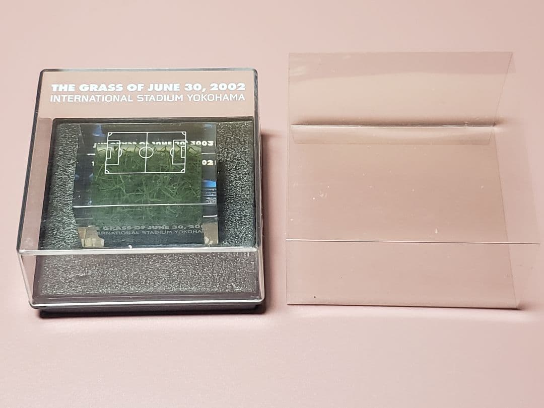 2002 FIFA 日韓ワールドカップ 横浜国際競技場 決勝の芝