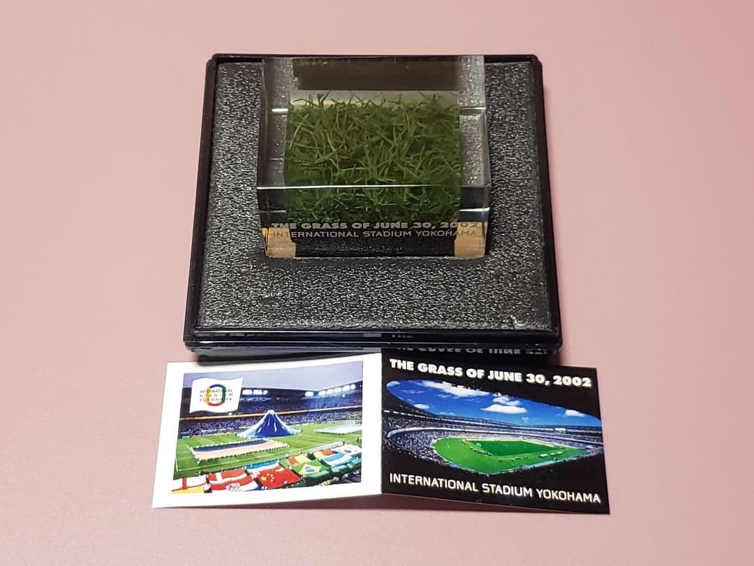 2002 FIFA 日韓ワールドカップ 横浜国際競技場 決勝の芝
