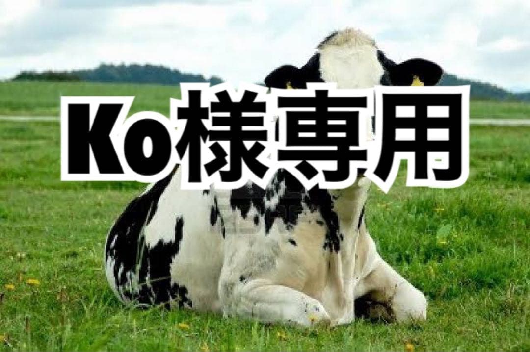 キャメル　180cm×100